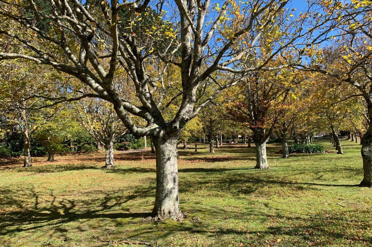 Apartment Falls Mountain Retreat Blue Mountains Wentworth Falls