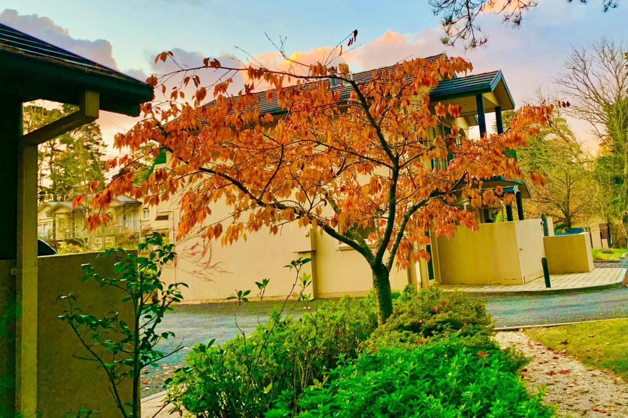 Falls Mountain Retreat Blue Mountains Apartment *